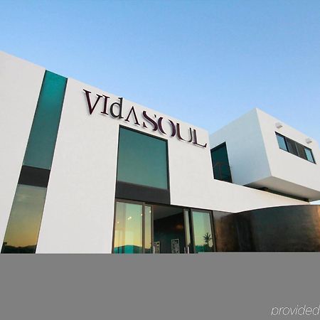 Vidasoul Boca de la Vinorama Екстериор снимка