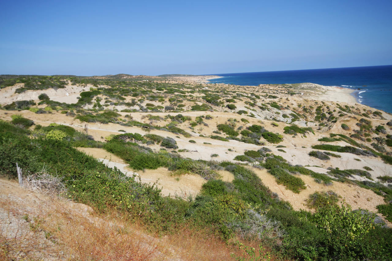 Vidasoul Boca de la Vinorama Екстериор снимка